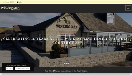 image of the Winking Man website